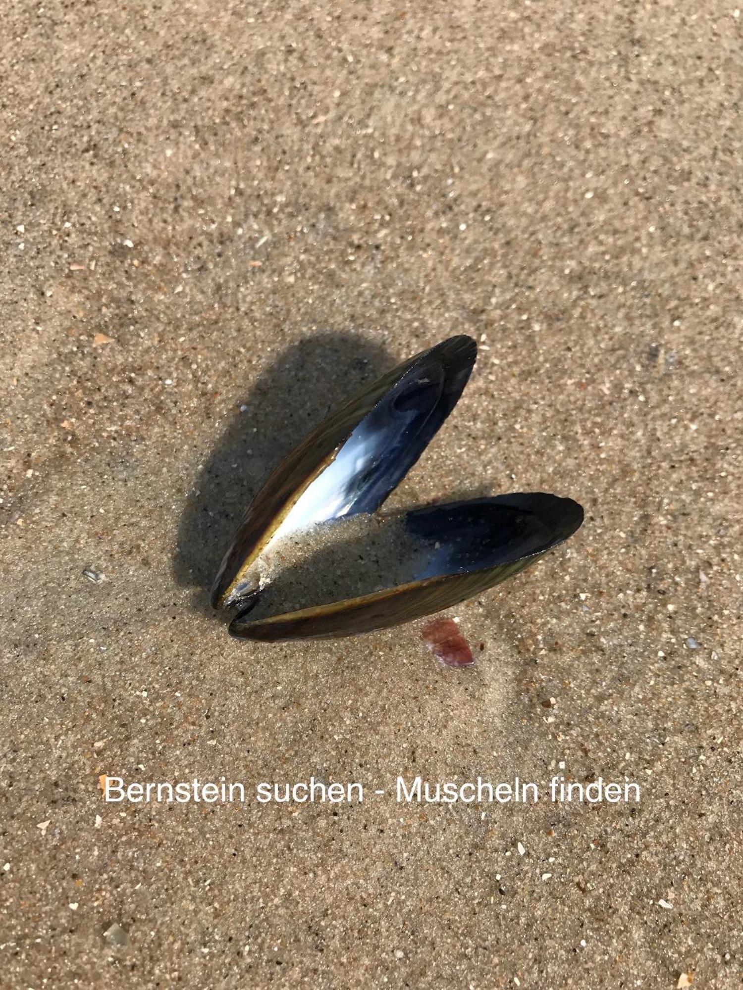 Eschen'S Blick Apartamento Aurich Exterior foto